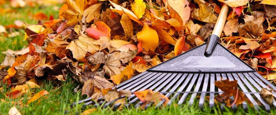 3 Tips for Fall Landscaping