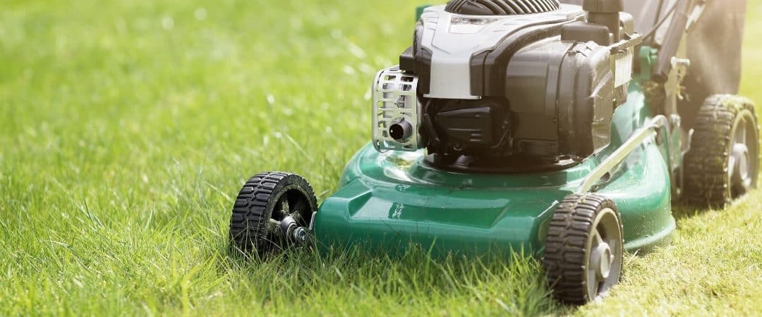How to Practice Healthy and Effective Lawn Care