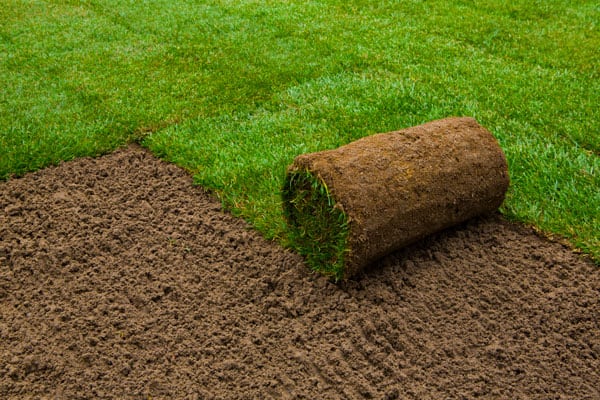 Sod Installation St. Louis