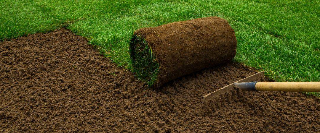 How a Sod Lawn Can Improve Your Yard Landscaping