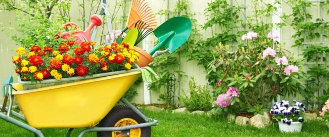 Choose These Flowers for Your Spring Yard