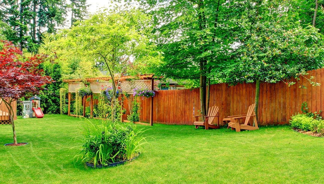 5 Tips for Taking Care of Your Yard’s Trees