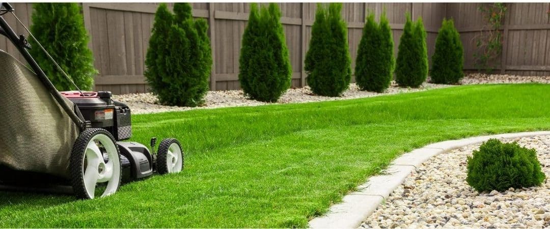Lawn Care: How to Protect Your Grass in a Drought