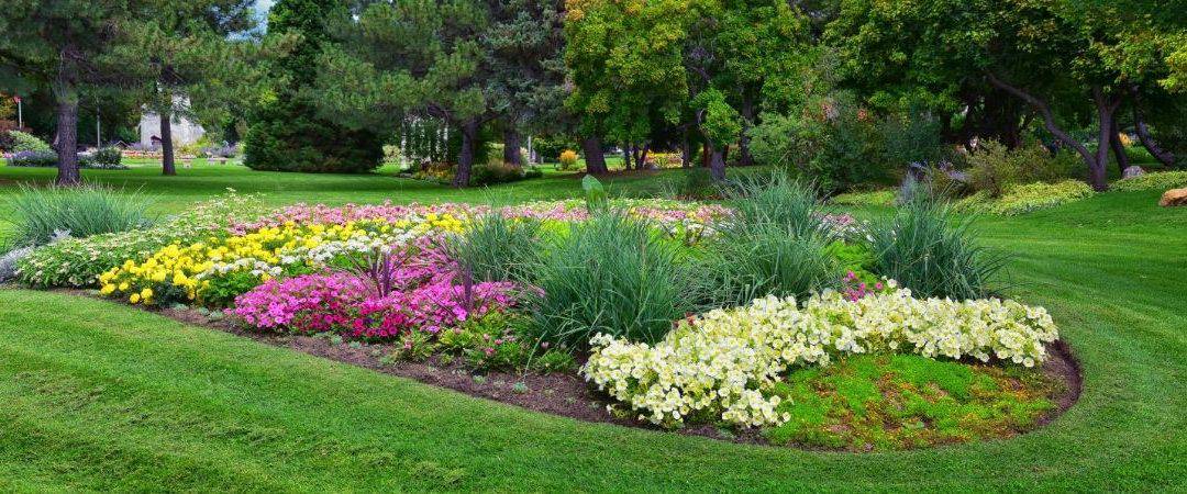 Questions to Ask Before Hiring a Landscape Designer